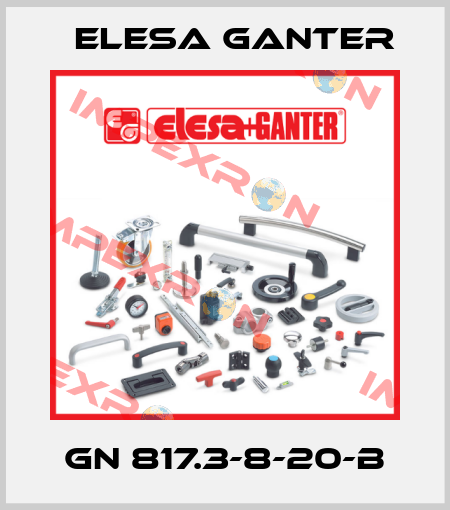 GN 817.3-8-20-B Elesa Ganter
