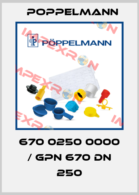 670 0250 0000 / GPN 670 DN 250 Poppelmann