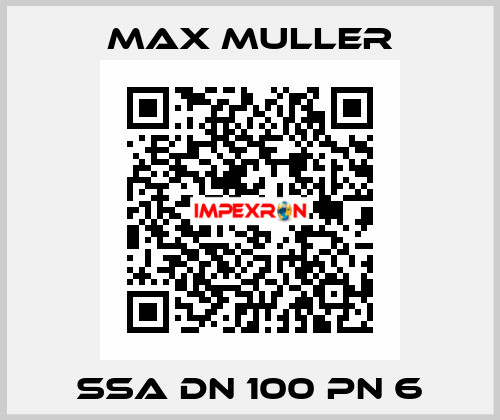 SSA DN 100 PN 6 MAX MULLER