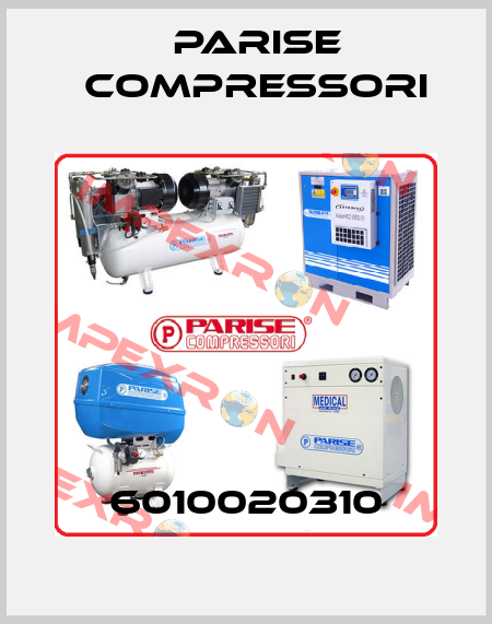 6010020310 Parise Compressori