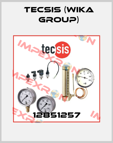 12851257 Tecsis (WIKA Group)