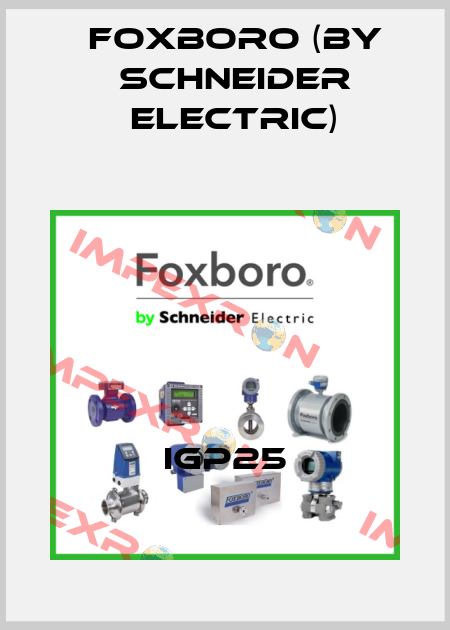 IGP25 Foxboro (by Schneider Electric)
