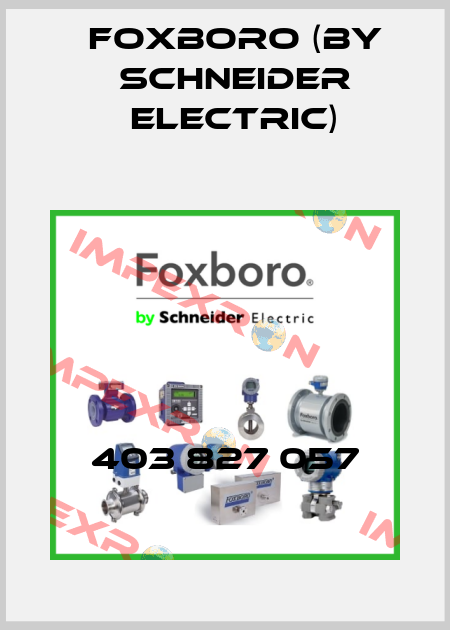 403 827 057 Foxboro (by Schneider Electric)