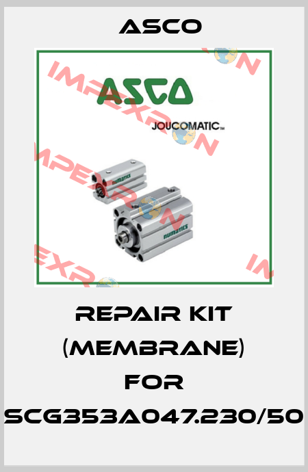 repair kit (membrane) for SCG353A047.230/50 Asco