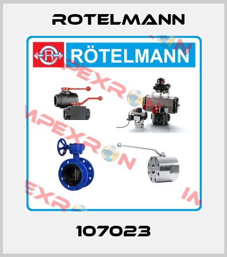 107023 Rotelmann