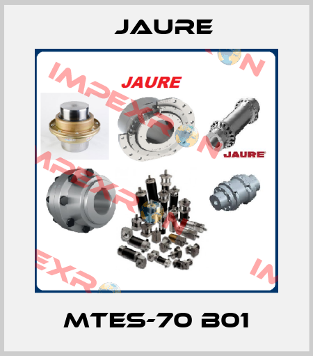 MTES-70 B01 Jaure