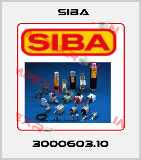3000603.10 Siba