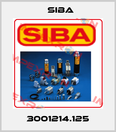 3001214.125 Siba