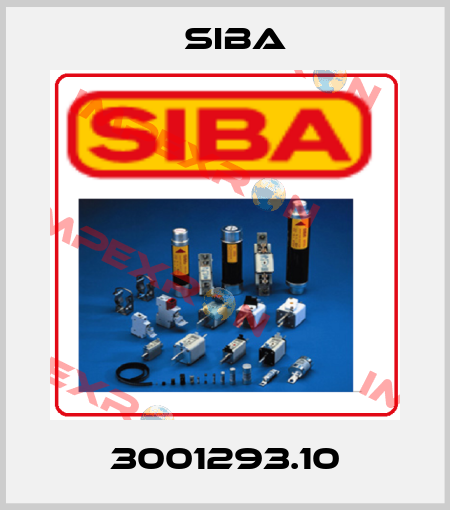 3001293.10 Siba