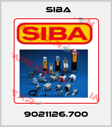 9021126.700 Siba