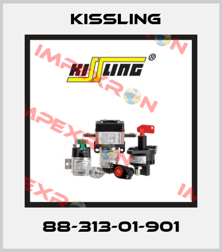 88-313-01-901 Kissling
