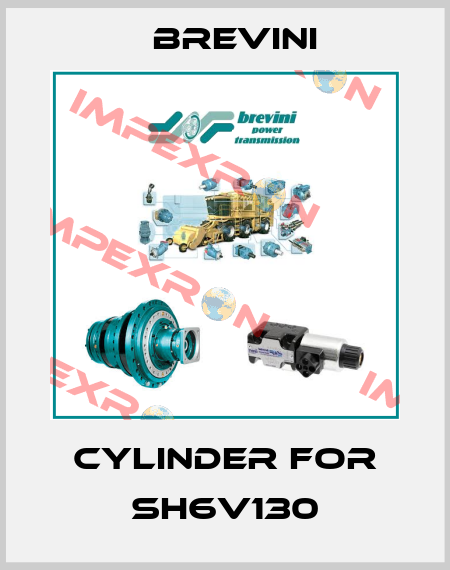 CYLINDER for SH6V130 Brevini