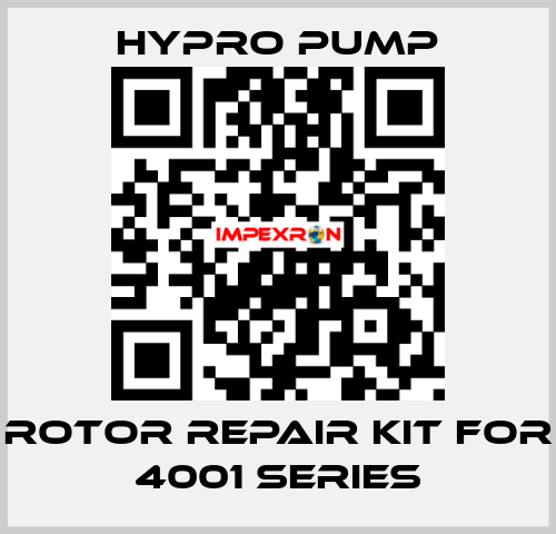 Rotor Repair Kit for 4001 Series Hypro Pump