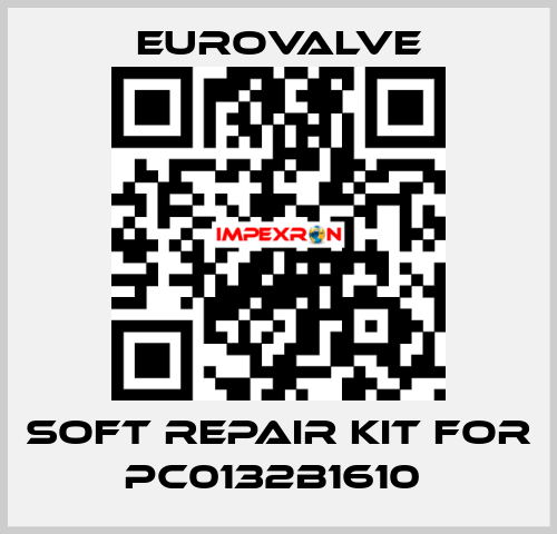 SOFT REPAIR KIT FOR PC0132B1610  Eurovalve