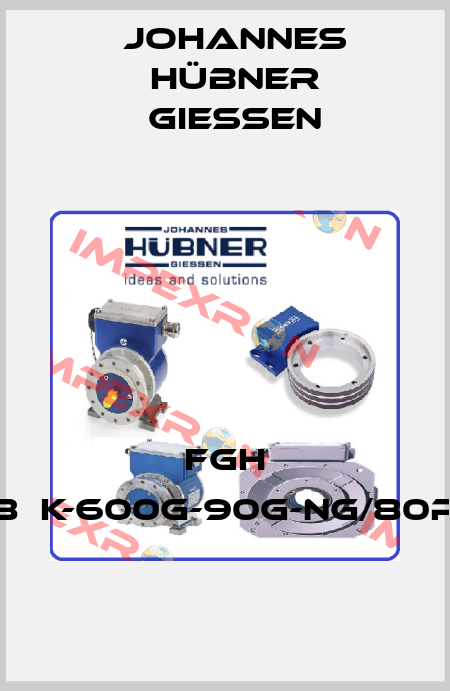 FGH 8ЕK-600G-90G-NG/80P Johannes Hübner Giessen