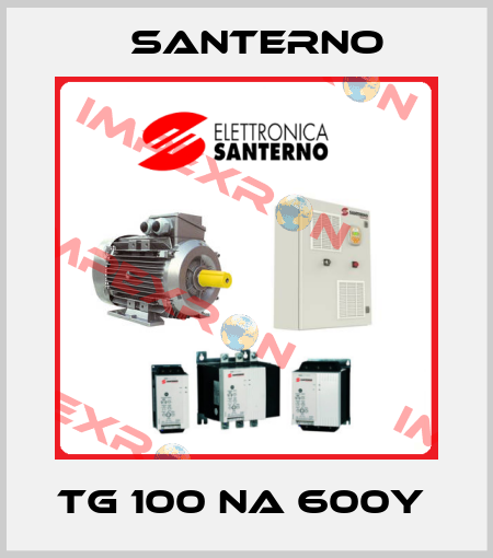 TG 100 NA 600Y  Santerno