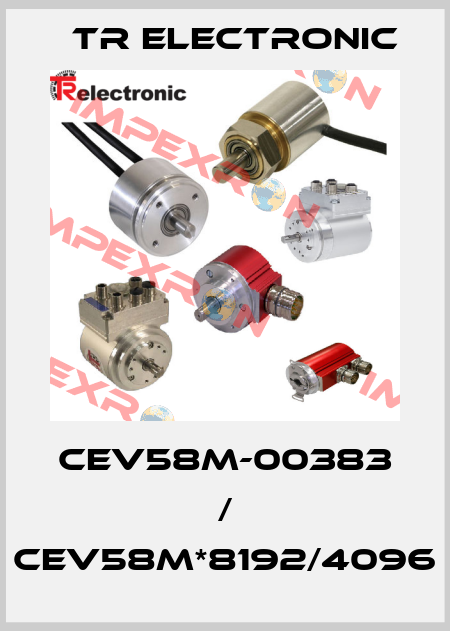 CEV58M-00383 / CEV58M*8192/4096 TR Electronic