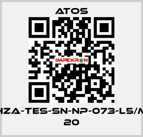 DHZA-TES-SN-NP-073-L5/M/1 20 Atos