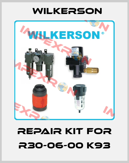 repair kit for R30-06-00 K93 Wilkerson
