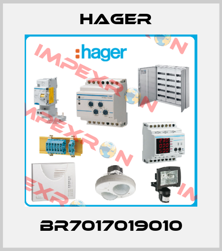 BR7017019010 Hager