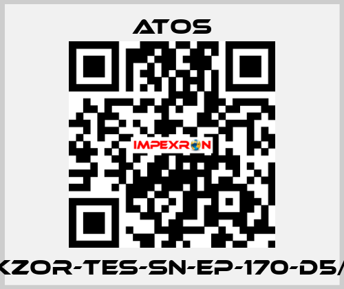 DKZOR-TES-SN-EP-170-D5/FI Atos