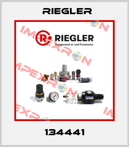 134441 Riegler