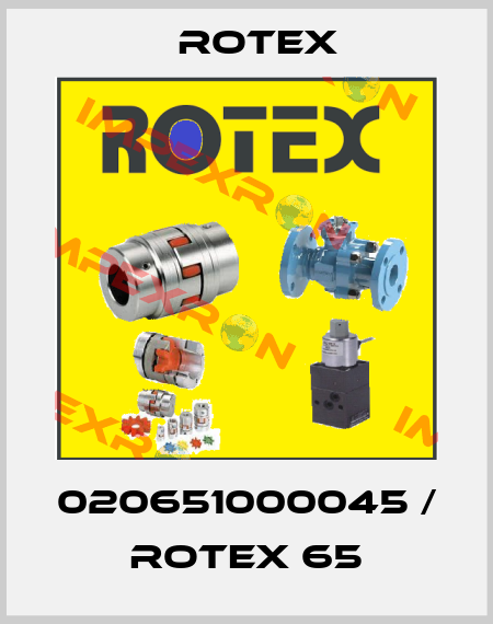 020651000045 / ROTEX 65 Rotex