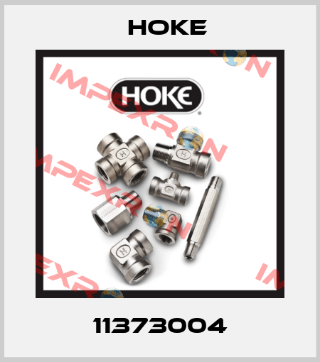 11373004 Hoke