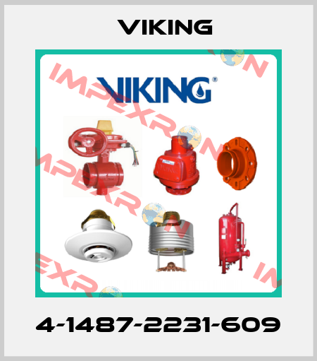 4-1487-2231-609 Viking