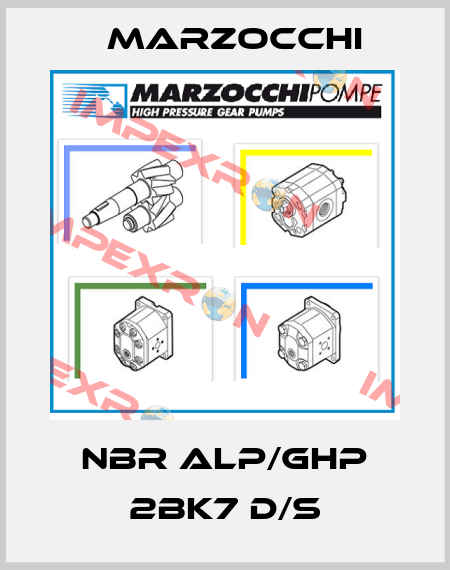 NBR ALP/GHP 2BK7 D/S Marzocchi