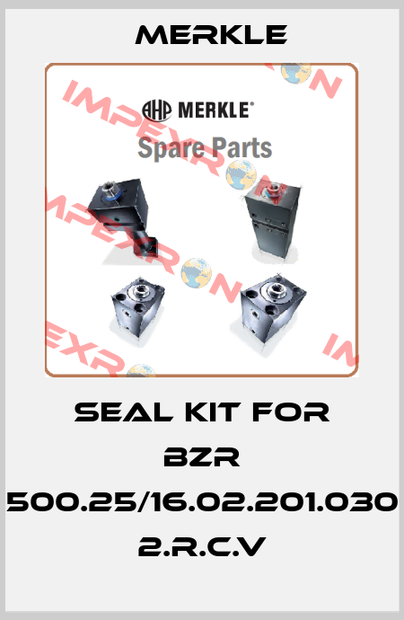 seal kit for BZR 500.25/16.02.201.030 2.R.C.V Merkle