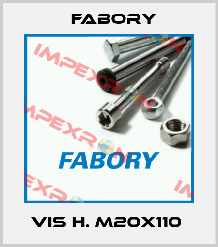 VIS H. M20X110  Fabory