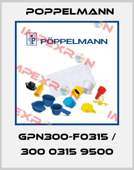 GPN300-F0315 / 300 0315 9500 Poppelmann
