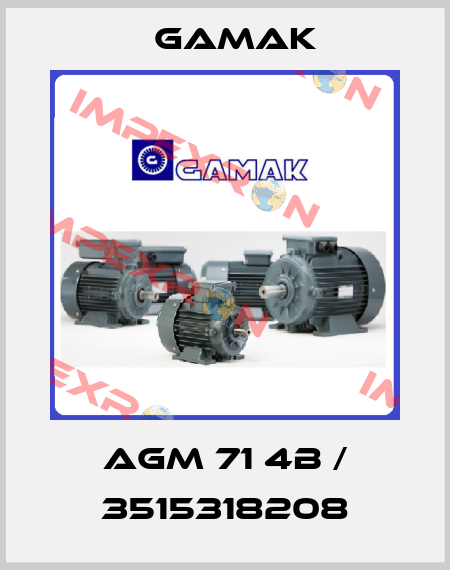 AGM 71 4b / 3515318208 Gamak