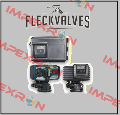 13847 Fleck Valves