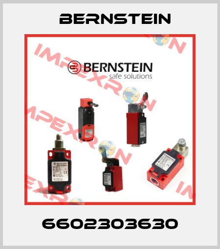 6602303630 Bernstein