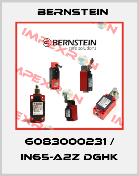 6083000231 / IN65-A2Z DGHK Bernstein