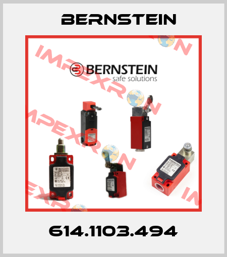 614.1103.494 Bernstein