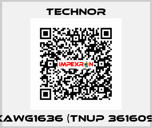 XAWG1636 (TNUP 361609) TECHNOR