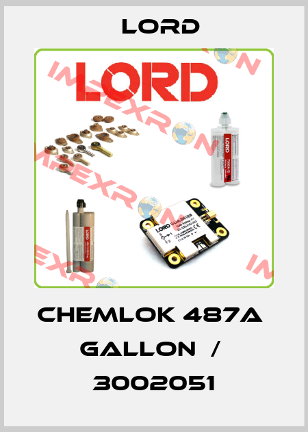 CHEMLOK 487A   GALLON  /  3002051 Lord