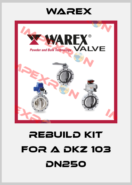 Rebuild Kit for a DKZ 103 DN250 Warex