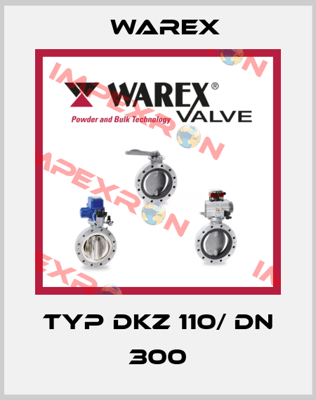 Typ DKZ 110/ DN 300 Warex