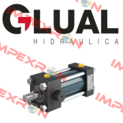 KI-50/36X200-S303-G-2-AD-A-1-30 Glual Hydraulics