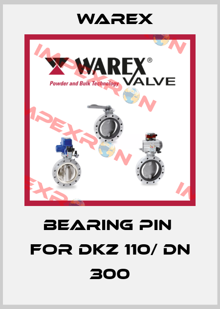Bearing pin  for DKZ 110/ DN 300 Warex