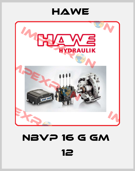 NBVP 16 G GM  12 Hawe