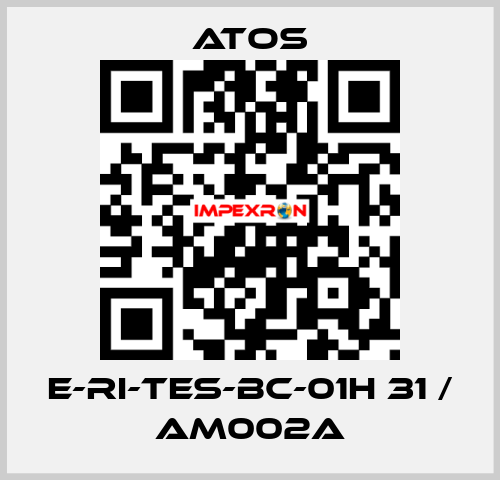 E-RI-TES-BC-01H 31 / AM002A Atos