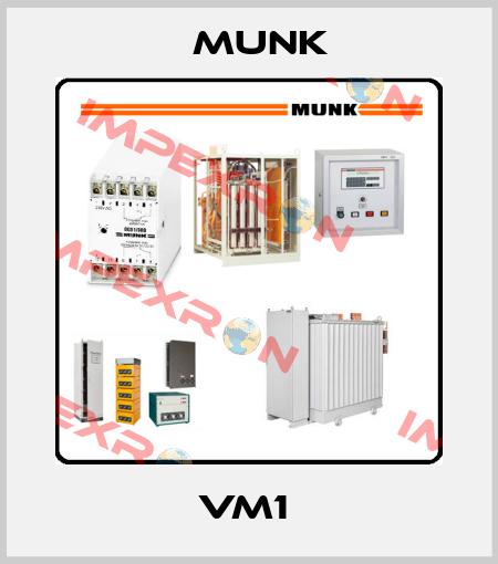 VM1  Munk