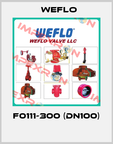 F0111-300 (DN100)   Weflo