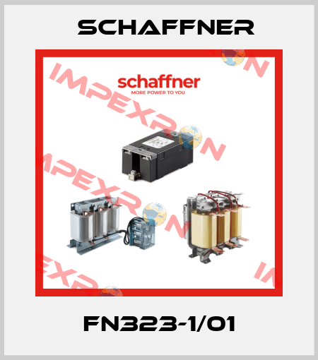 FN323-1/01 Schaffner