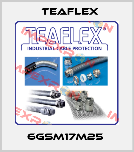 6GSM17M25  Teaflex